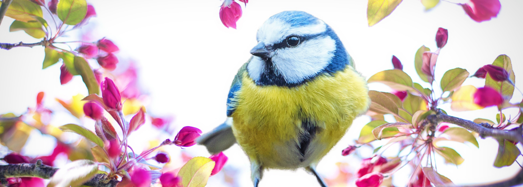 Agence Gestion locative Nîmes, garantie loyer impayée, location de votre logement, vente immobilière proche de Nîmes 