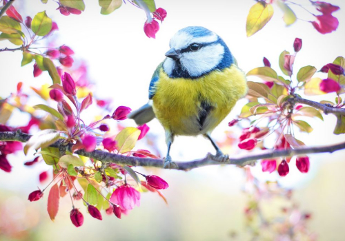 Confier son appartement en gestion locative